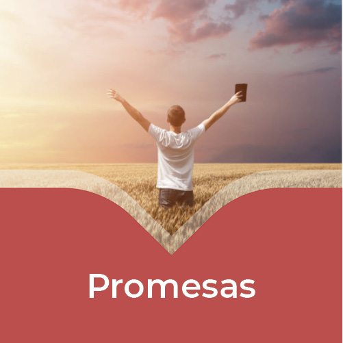 Biblias de Promesas