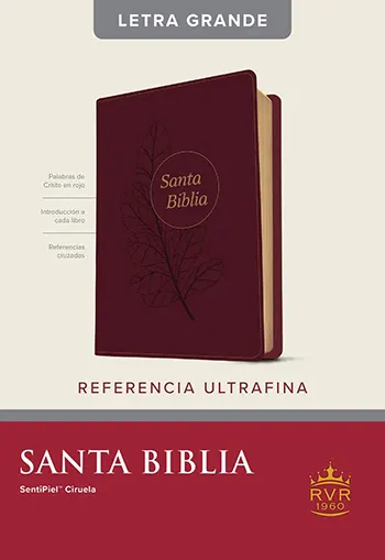 Biblia RVR60, Edición de referencia ultrafina, letra grande, Sentipiel Ciruela