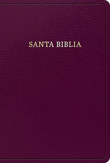 Imagen de la Biblia RVR 1960 letra grande tamaño manual, borgoña imitación piel