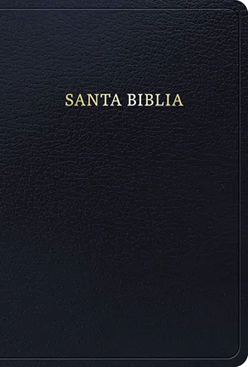 Imagen de la Biblia RVR 1960 letra grande tamaño manual, negro imitación piel