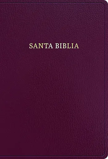 Imagen de la Biblia RVR 1960 letra súper gigante borgoña imitación piel