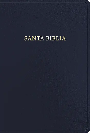 Imagen de la Biblia RVR 1960 letra súper gigante, negro imitación piel
