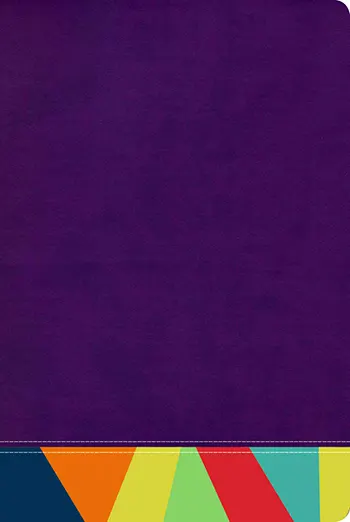 Imagen de la Biblia de Estudio Arcoíris RVR 1960 morado multicolor