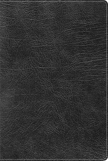 Imagen de la Biblia de Estudio Arcoíris RVR 1960 negro símil piel