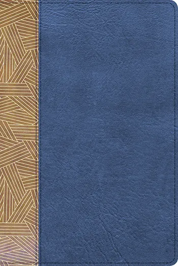 Imagen de la Biblia de Estudio Arcoíris RVR 1960 tostado negro símil piel