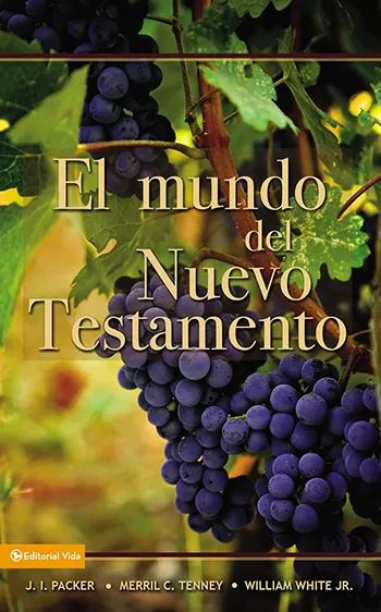 Imagen del libro El Mundo del Nuevo Testamento