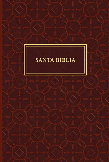 Imagen de la Biblia RVR60 Letra Gigante, Neutral símil piel