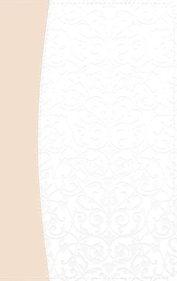 Imagen de la Biblia Recuerdo de Boda RVR60, Filgrana blanca-Rosado palo simil piel