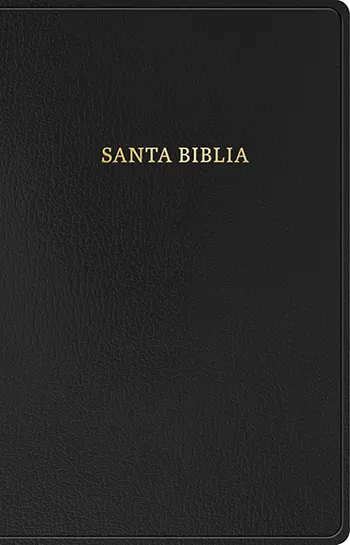 Imagen de la Biblia clásica RV1909 con referencias, Negro, imitación piel