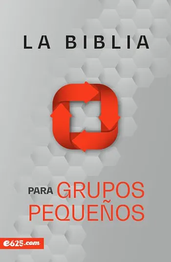 Biblia para grupos pequeños, NBV rústica