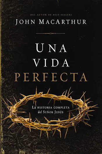 Imagen del libro Una vida perfecta