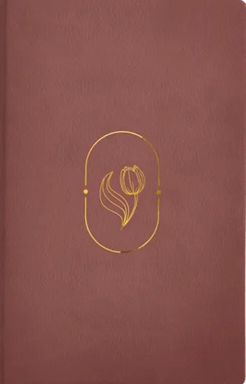 Biblia de Promesas Virtuosa, RVR60, Letra gigante, Piel especial, Rosa